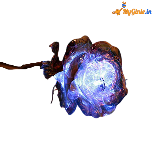 51TnLXUkoCL-removebg-preview