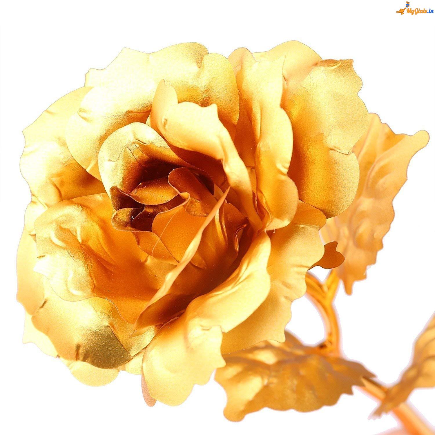 71TXpkqi1EL._SL1500_