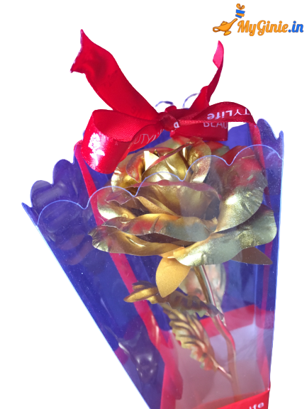 IMG_9426-removebg-preview