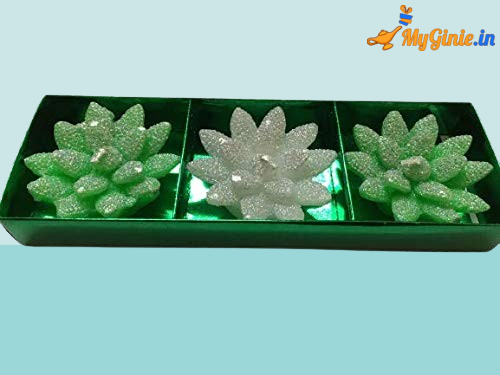 41ETJqvkrcL-removebg-preview