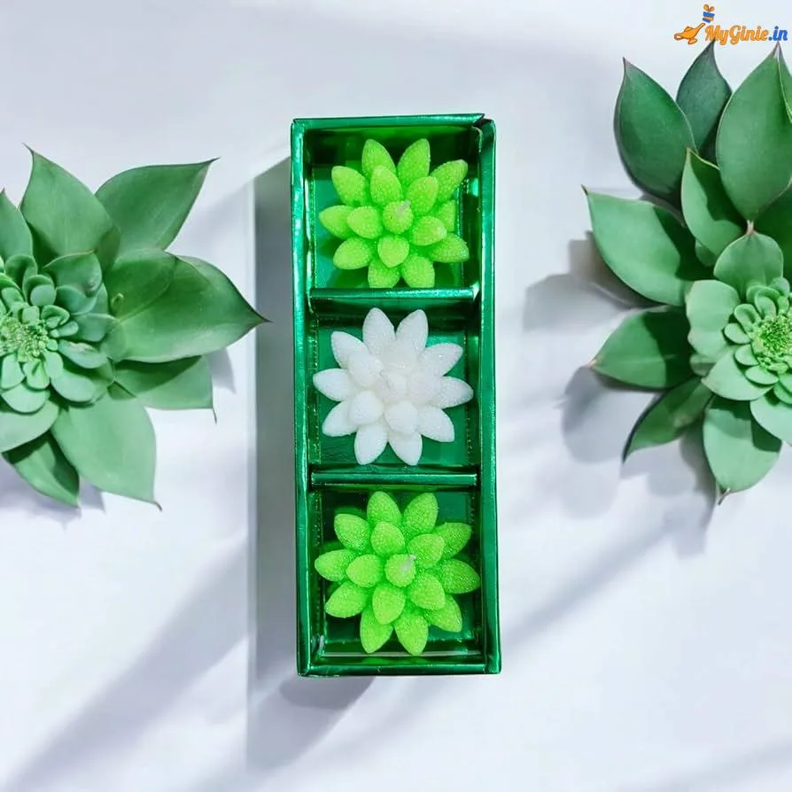 71CEkfdzZuL._AC_UF894,1000_QL80_