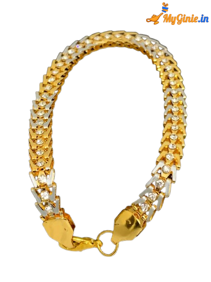 WhatsApp_Image_2025-01-16_at_1.04.26_PM__1_-removebg-preview