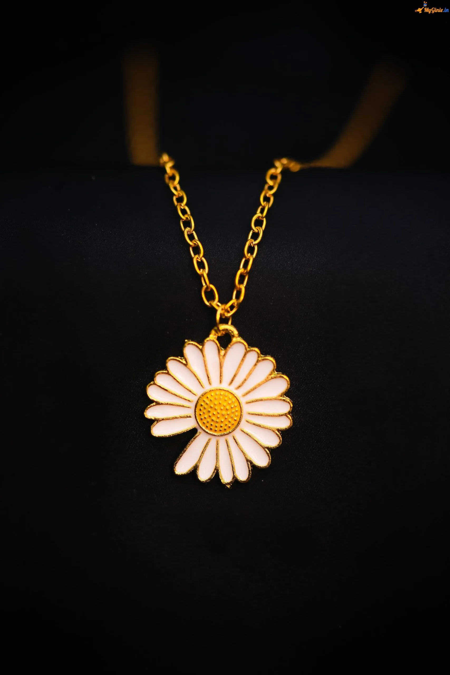 IMG_0263-scaled-1-jpg