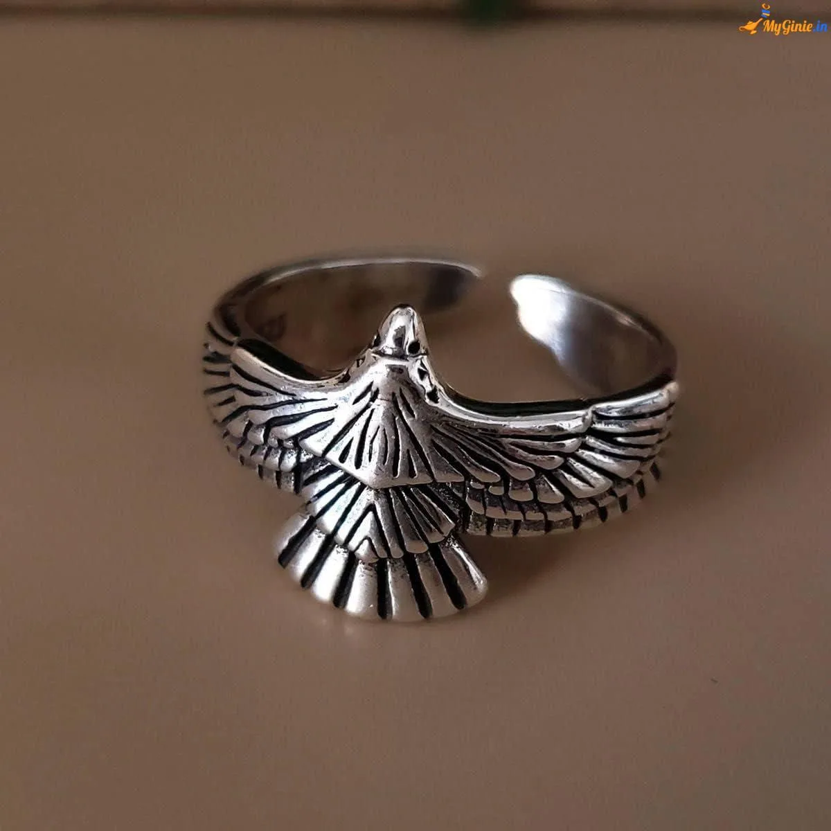 61mlWmLEQ-L._AC_SL1200_